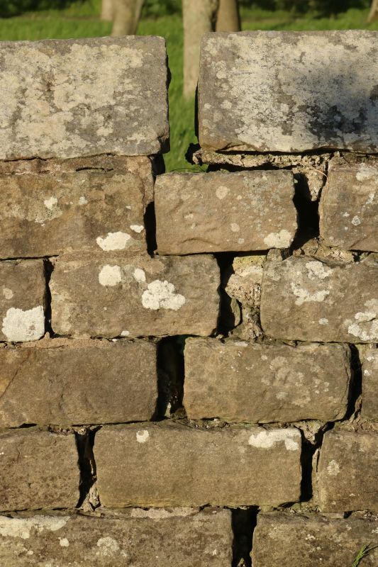 Stone Wall Repair in Delano, TN